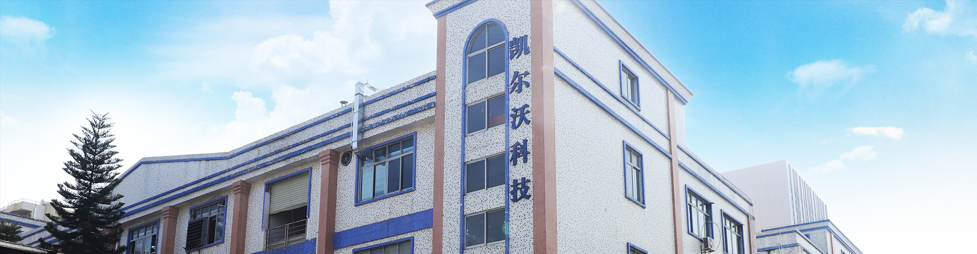 凯尔沃について